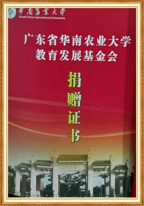 Certificate Of Honor