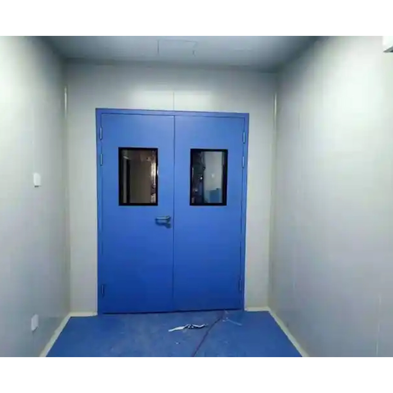 Steel Double Clean Room Door